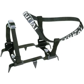 6 Point Crampon