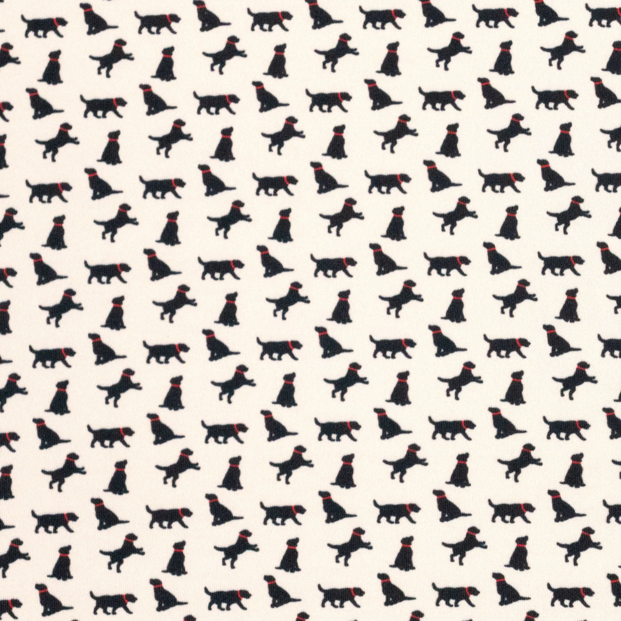 Albatross Polo - Sand Dollar Black Lab