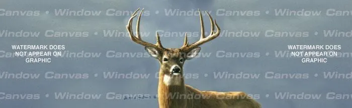 Autumn Whitetails I Rear Window Decal