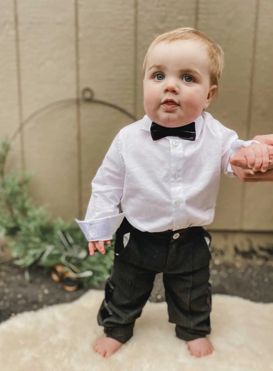 Black Velvet Bow Tie