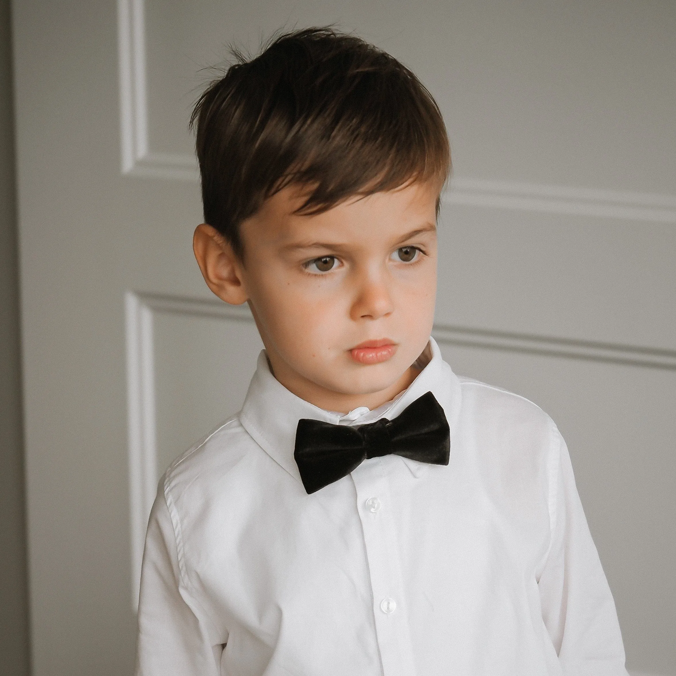 Black Velvet Bow Tie