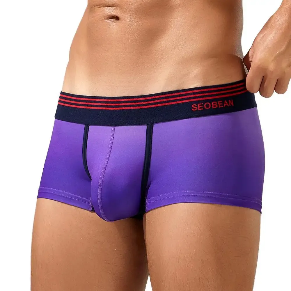 Electric Gradient Trunks