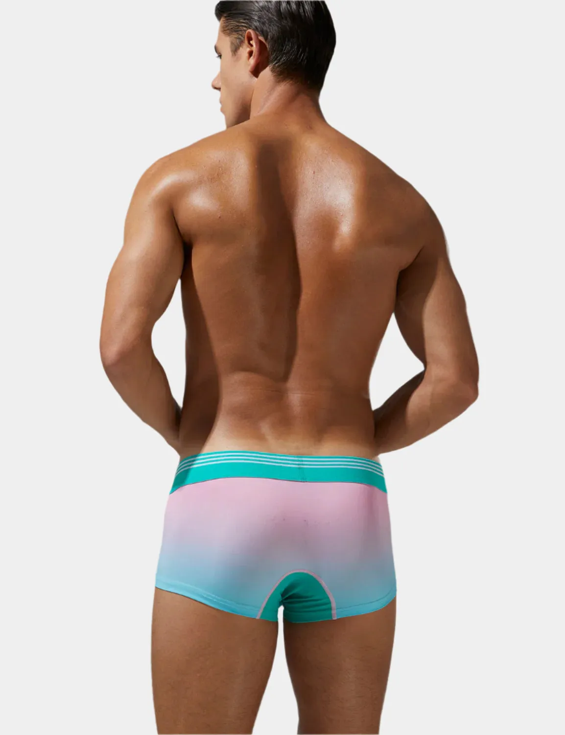 Electric Gradient Trunks