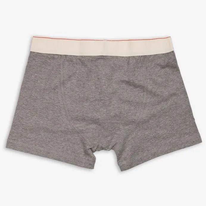 MARTI | Organic Boxer Shorts | Grey